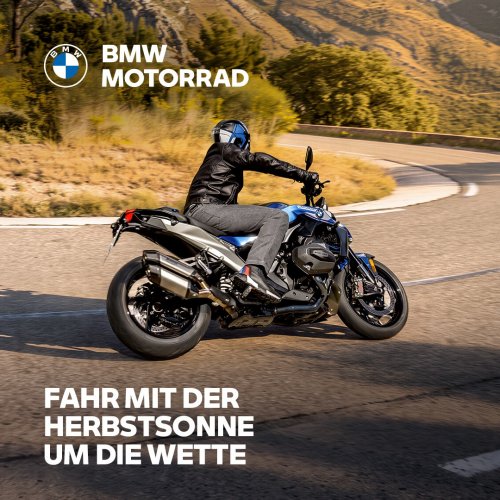 StuteHengst