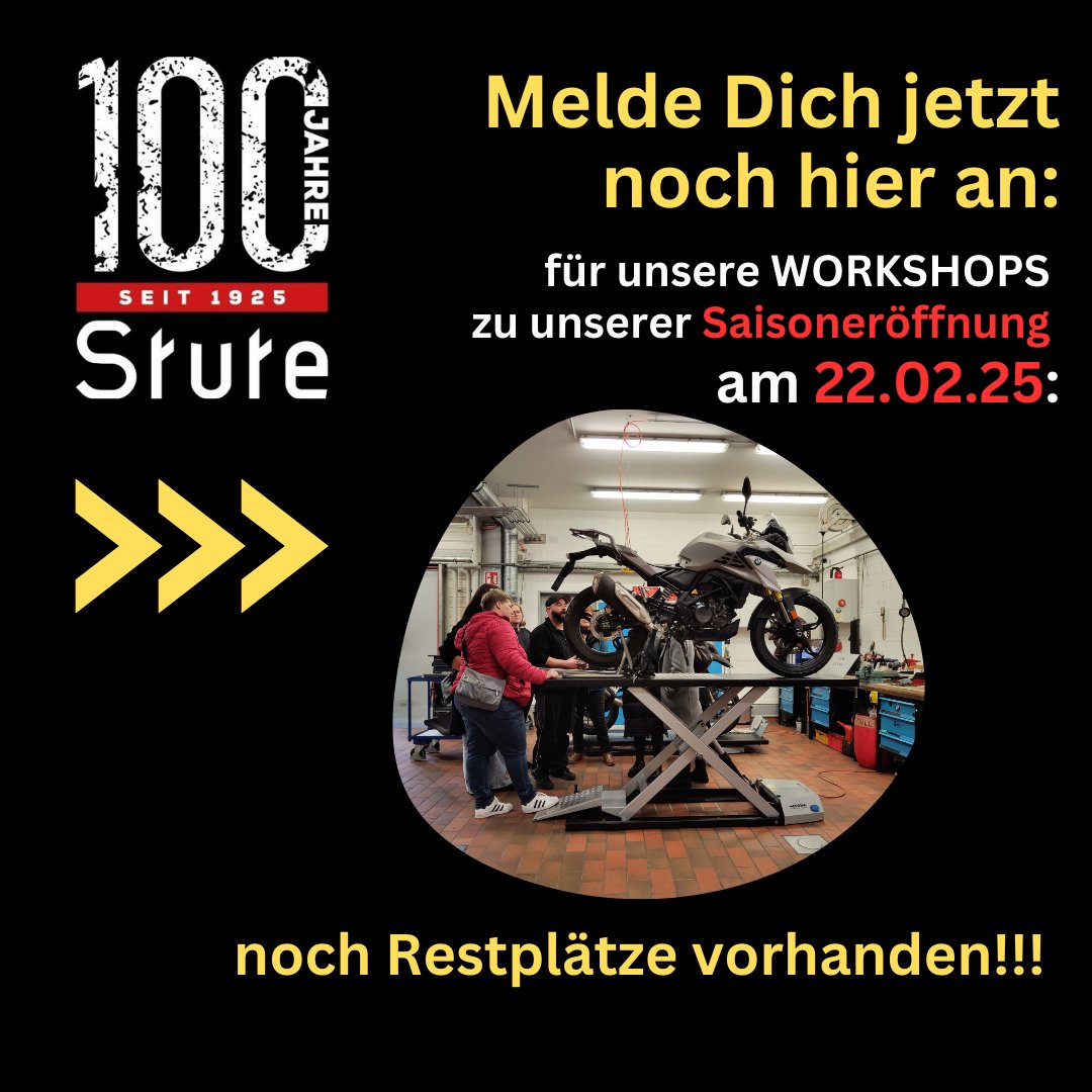StuteHengst
