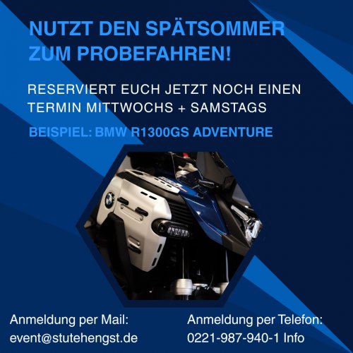 StuteHengst