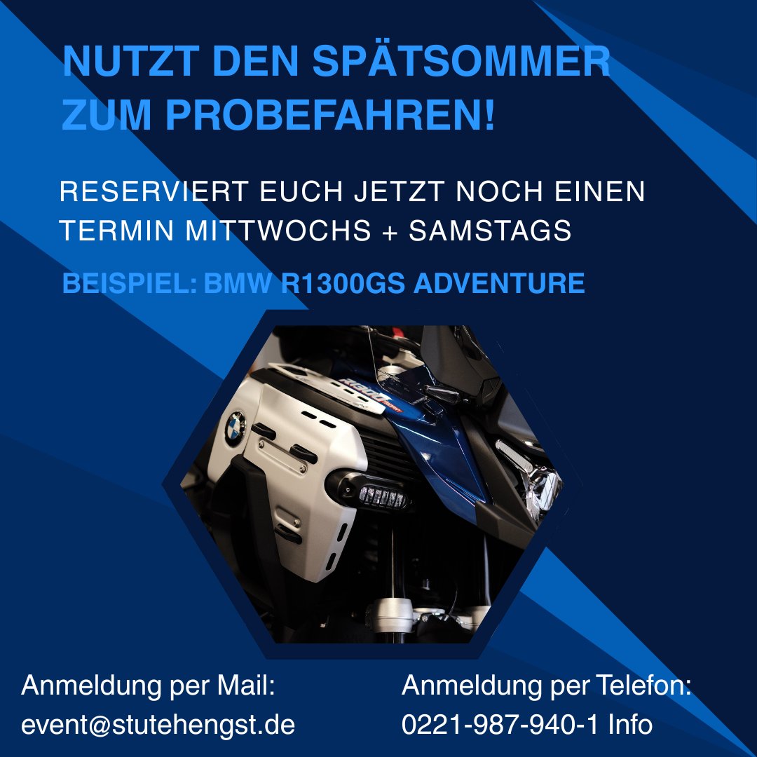 StuteHengst