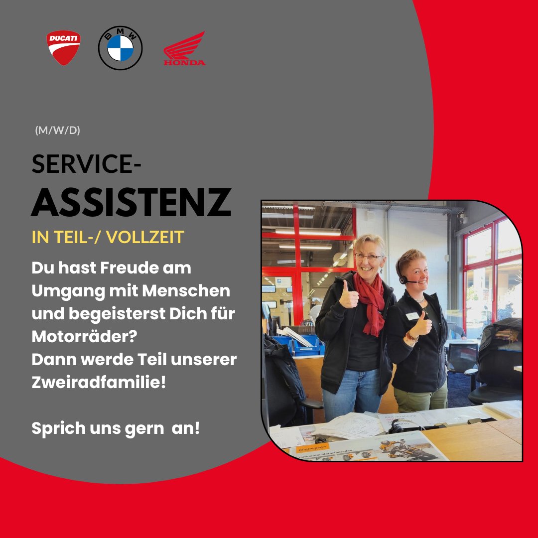 StuteHengst