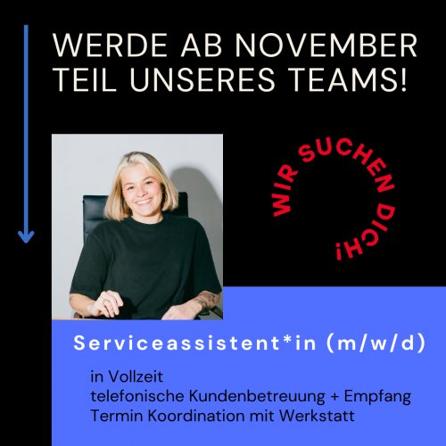 StuteHengst